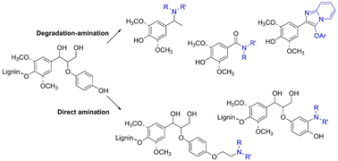 Graphical abstract: Introduction of amino groups into lignin and lignin model compounds: recent advances