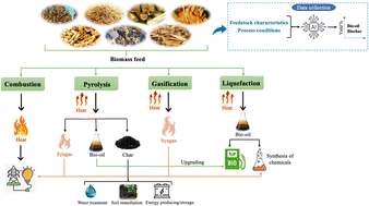Graphical abstract: Recent advances in biomass valorization through thermochemical processes, bio-oil production and AI strategies: a concise review