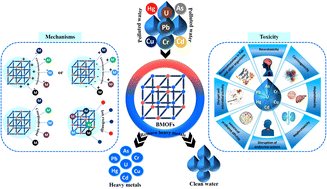 Graphical abstract: Heavy metal pollution in aquatic environments and removal using highly efficient bimetallic metal–organic framework adsorbents
