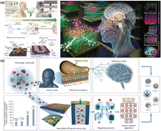 Graphical abstract: Advances in predicting human olfactory perception: from data acquisition to computational models