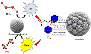 Graphical abstract: Advanced strategies for the removal of venlafaxine from aqueous environments: a critical review of adsorption and advanced oxidation pathways