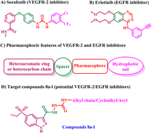 Graphical abstract: Design, synthesis, and characterization of novel 5-ethylsulfonyl-indazole-3-carboxamides as dual VEGFR-2 and EGFR inhibitors: apoptotic antiproliferative and immunomodulatory evaluations