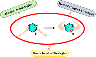 Graphical abstract: Comprehensive perspectives of metal and metal-free C–H activation approaches in pyrimidines and related heteroarenes: scope, mechanistic insights, and synthetic utility
