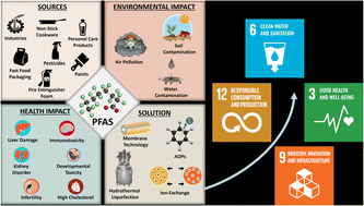 Graphical abstract: Environmental behavior and human health risks of PFAS: occurrence, toxicity, and the state-of-the-art removal approaches