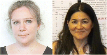 Graphical abstract: Introduction to the RSC Advances Emerging Investigators Series 2024