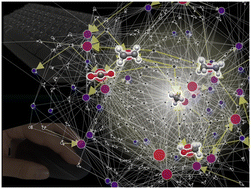 Graphical abstract: Web-based graphical user interface for visualizing and analyzing chemical reaction networks