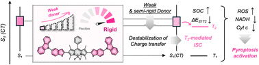 Graphical abstract: Breaking the heavy-atom paradigm: weak-donor-engineered triplet harvesting in BODIPY photosensitizers for immunogenic pyroptosis therapy