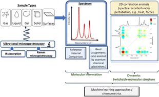 Graphical abstract: Label-free linear and non-linear vibrational spectroscopy for functional materials: state-of-the-art and future perspectives