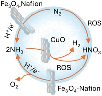 Graphical abstract: The air–water interfacial nitrogen cycle produces irrigatable-level ammonium nitrate