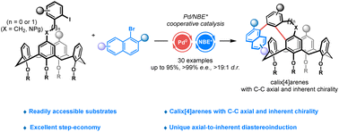 Graphical abstract: Enantioselective synthesis of calix[4]arenes with C–C axial and inherent chirality via palladium/chiral norbornene cooperative catalysis