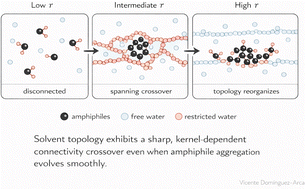Graphical abstract: A solvent-topology perspective on hydrophobic aggregation