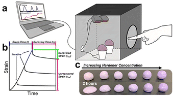 Graphical abstract: Establishing direct relationships between soft material perception and rheology