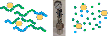 Graphical abstract: Impact of molecular weight, additives and copolymers on the chemical recycling of (bio)plastics using solid ruthenium-based catalysts