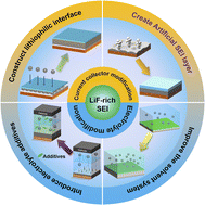 Graphical abstract: What role does LiF play In anode-free lithium metal batteries?