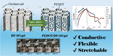Graphical abstract: Hierarchically structured conducting polymer hydrogels with enhanced stretchability and conductivity via freeze-casting and salting-out with oxidant salts
