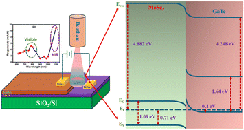 Graphical abstract: Scalable MBE growth of MoSe2/GaTe van der Waals heterostructure for high-speed vis-NIR photodetection