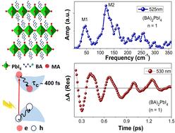 Graphical abstract: Hot carrier cooling and direct observation of electron–phonon coupling in two-dimensional butylammonium lead iodide perovskites