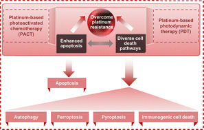 Graphical abstract: Beyond apoptosis: platinum phototherapeutics overcome resistance by triggering diverse cell death pathways