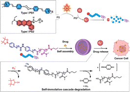 Graphical abstract: Type I photosensitizer-responsive self-immolative polymers: combining drug release with photodynamic therapy