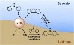 Graphical abstract: Manganese oxide-mediated halogenation of carbazole under marine-related conditions