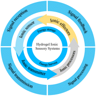 Graphical abstract: Hydrogel ionic sensory systems