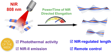 Graphical abstract: Near infrared light regulated crystallization-driven self-assembly: a versatile platform for controlled preparation of uniform π-conjugated functional nanostructures