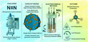 Graphical abstract: Single-atom dispersed high-entropy alloys for nitrogen conversion: from N2 activation to NOx reduction
