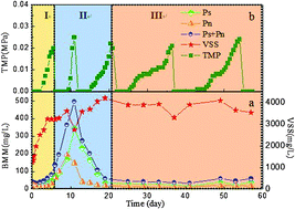 Graphical abstract: Role of microorganism growth phase in the accumulation and characteristics of biomacromolecules (BMM) in a membrane bioreactor