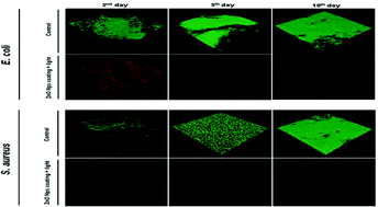 Graphical abstract: ZnO nanoparticle-coated surfaces inhibit bacterial biofilm formation and increase antibiotic susceptibility