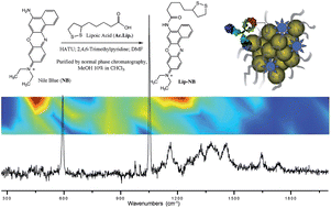 Graphical abstract: Alternative SERRS probes for the immunochemical localization of ovalbumin in paintings: an advanced mapping detection approach