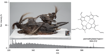 Graphical abstract: Characterization of blood in an encrustation on an African mask: spectroscopic and direct analysis in real time mass spectrometric identification of haem