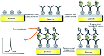 Graphical abstract: Nanomaterial-based electrochemical immunosensors as advanced diagnostic tools