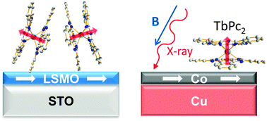 Graphical abstract: Magnetism of TbPc2 SMMs on ferromagnetic electrodes used in organic spintronics