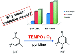 Graphical abstract: Unexpected oxidation of β-isophorone with molecular oxygen promoted by TEMPO