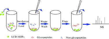 Graphical abstract: Efficient enrichment of glycopeptides using metal–organic frameworks by hydrophilic interaction chromatography