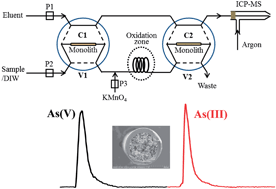 Graphical abstract: A sequential solid phase microextraction system coupled with inductively coupled plasma mass spectrometry for speciation of inorganic arsenic