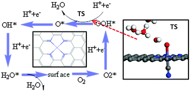 Graphical abstract: Electrocatalytic oxygen reduction kinetics on Fe-center of nitrogen-doped graphene