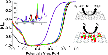 Graphical abstract: Specific adsorption of perchlorate anions on Pt{hkl} single crystal electrodes