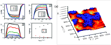 Graphical abstract: On the faradaic selectivity and the role of surface inhomogeneity during the chlorine evolution reaction on ternary Ti–Ru–Ir mixed metal oxide electrocatalysts