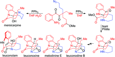 Graphical abstract: Selective syntheses of leuconolam, leuconoxine, and mersicarpine alkaloids from a common intermediate through regiocontrolled cyclizations by Staudinger reactions