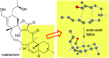 Graphical abstract: Synthetic strategies toward the decalin motif of maklamicin and related spirotetronates