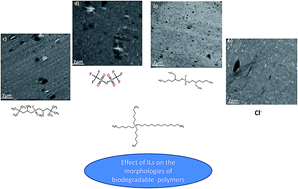 Graphical abstract: Ionic liquids–lignin combination: an innovative way to improve mechanical behaviour and water vapour permeability of eco-designed biodegradable polymer blends