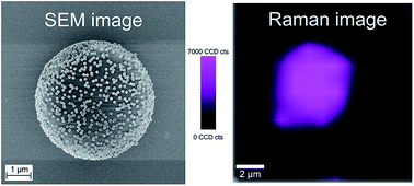 Graphical abstract: Raman-encoded microbeads for spectral multiplexing with SERS detection