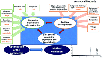Graphical abstract: Analysis of oxybutynin and N-desethyloxybutynin in human urine by dispersive liquid–liquid microextraction (DLLME) and capillary electrophoresis (CE)