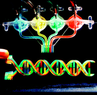 Graphical abstract: 3D printed microfluidic circuitry via multijet-based additive manufacturing