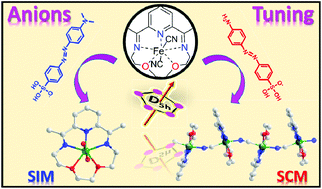 Graphical abstract: Structural and magnetic tuning from a field-induced single-ion magnet to a single-chain magnet by anions