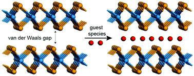 Graphical abstract: Intercalation in two-dimensional transition metal chalcogenides