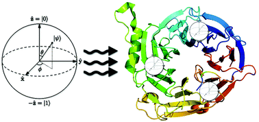 Graphical abstract: Coherence and organisation in lanthanoid complexes: from single ion magnets to spin qubits