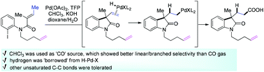 Graphical abstract: Pd-catalyzed Heck cyclization and in situ hydrocarboxylation or hydromethenylation via a hydrogen borrowing strategy