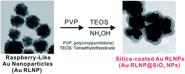 Graphical abstract: High catalytic performance of raspberry-like gold nanoparticles and enhancement of stability by silica coating